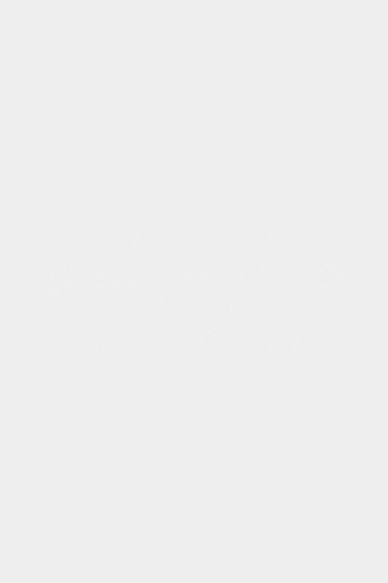 placeholder placeholder