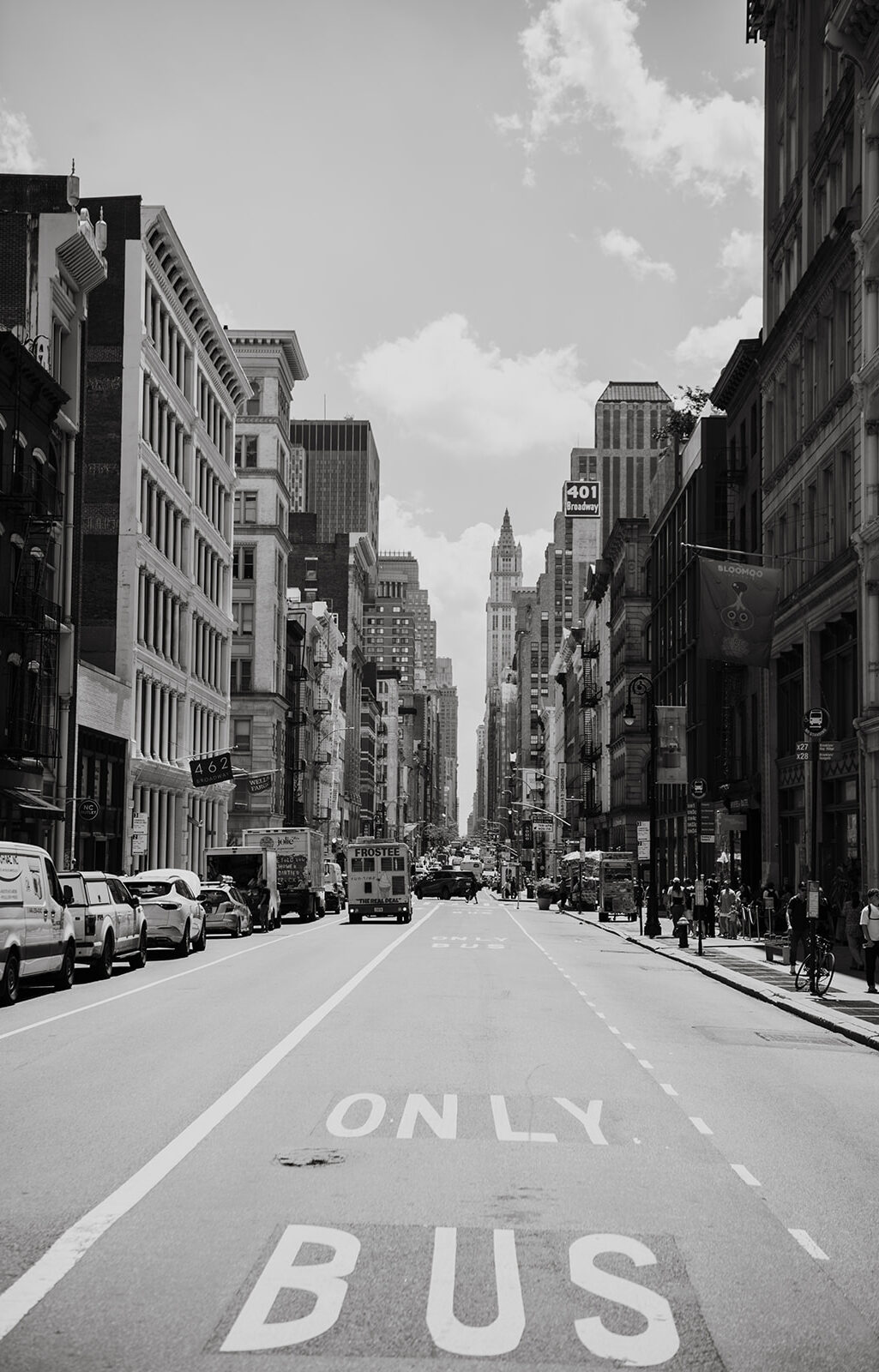 ontarionewyork 92 | Michael & Giso